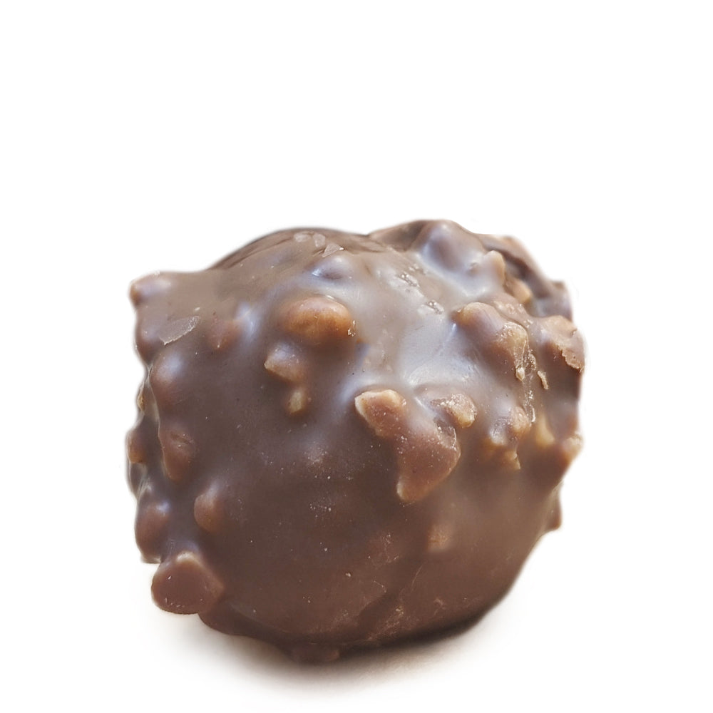 Schokotrüffel mit Haselnuss | Gelateria B-iced – B-iced GmbH Schokotrüffel mit Haselnuss | Gelateria B-iced – B-iced GmbH